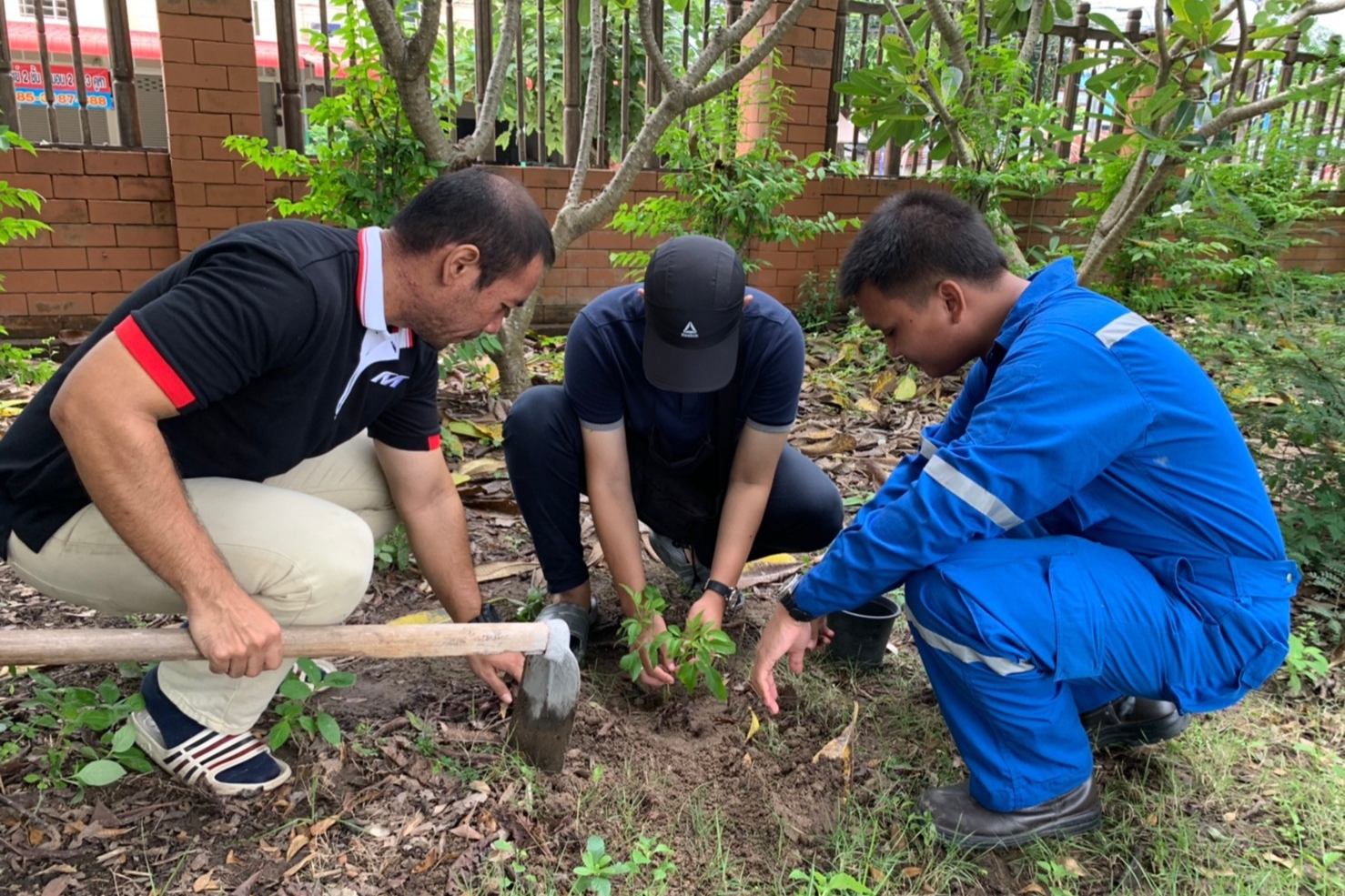 การคัดเลือก ประเมินและประเด็นที่มีนัยสำคัญ